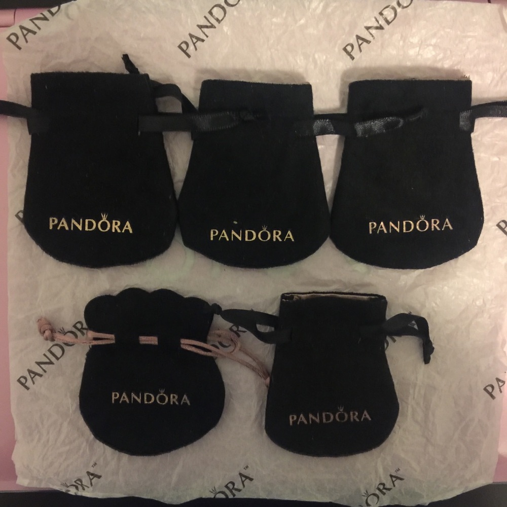 Pandora black pouch bag